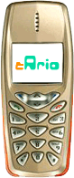 get message on your cell